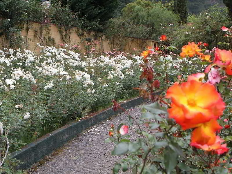 Pestana Quinta Do Arco Nature & Rose Garden Hotel Arco de São Jorge 4*,  葡萄牙