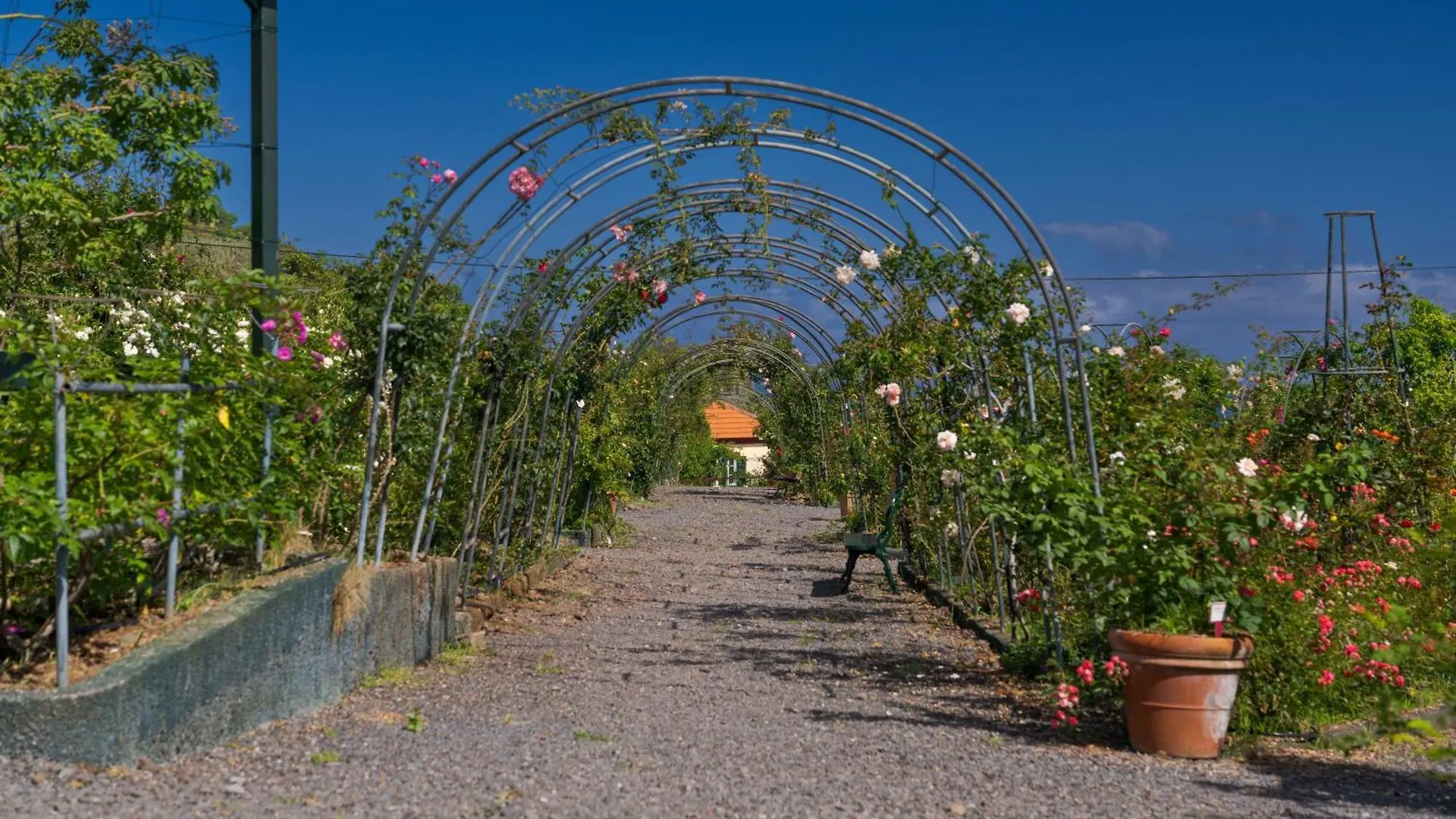 Pestana Quinta Do Arco Nature & Rose Garden Hotel Arco de São Jorge Kompleks wypoczynkowy